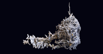 The aluminum sculpture will be on display outside biology professors’ offices in Hedco Hall. (Photo by Juan Garcia)